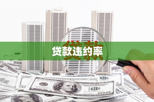 鹿草贷款违约率