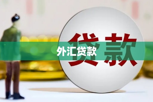鹿草外汇贷款