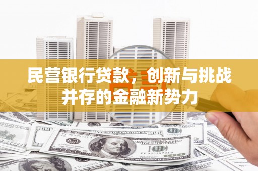 鹿草民营银行贷款，创新与挑战并存的金融新势力