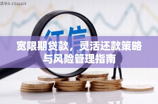 鹿草宽限期贷款，灵活还款策略与风险管理指南