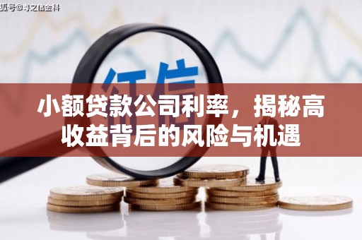 鹿草小额贷款公司利率，揭秘高收益背后的风险与机遇