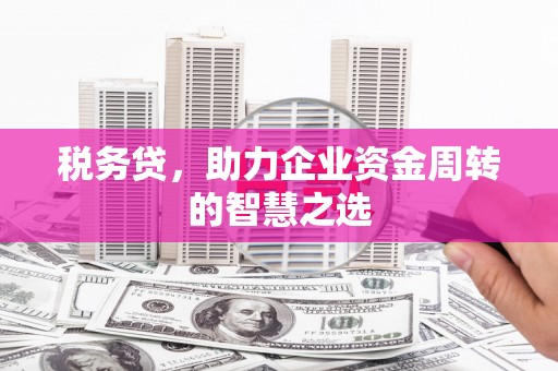 鹿草税务贷，助力企业资金周转的智慧之选