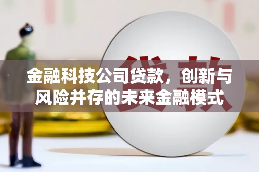 鹿草金融科技公司贷款，创新与风险并存的未来金融模式