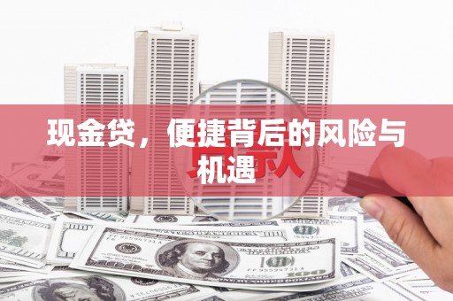 鹿草现金贷，便捷背后的风险与机遇
