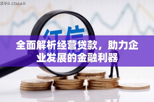 鹿草全面解析经营贷款，助力企业发展的金融利器