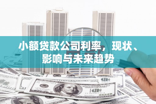 鹿草小额贷款公司利率，现状、影响与未来趋势