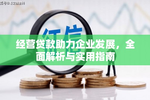 鹿草经营贷款助力企业发展，全面解析与实用指南