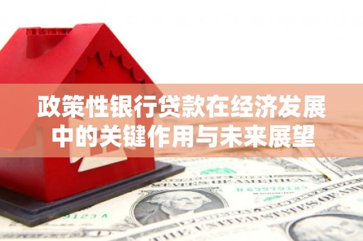 鹿草政策性银行贷款在经济发展中的关键作用与未来展望