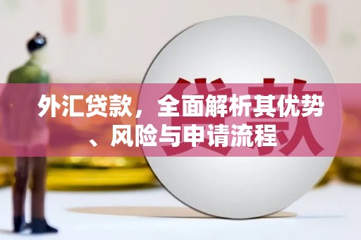 鹿草外汇贷款，全面解析其优势、风险与申请流程