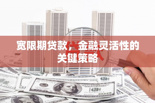 鹿草宽限期贷款，金融灵活性的关键策略