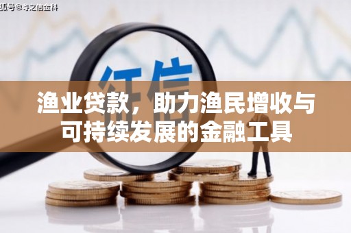 鹿草渔业贷款，助力渔民增收与可持续发展的金融工具