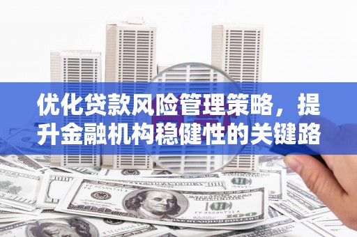 鹿草优化贷款风险管理策略，提升金融机构稳健性的关键路径