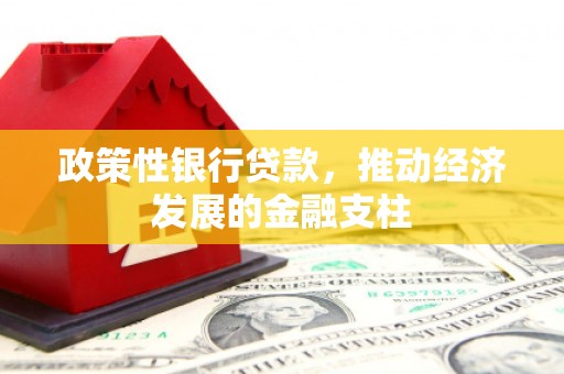 鹿草政策性银行贷款，推动经济发展的金融支柱