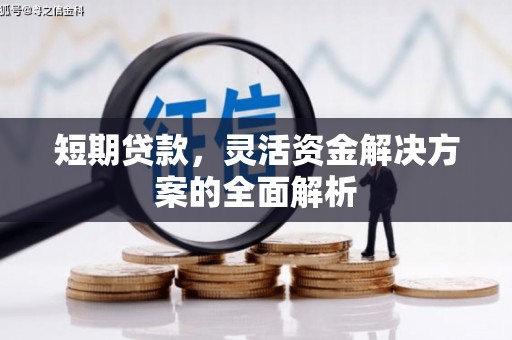 鹿草短期贷款，灵活资金解决方案的全面解析