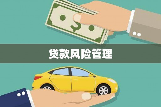 鹿草贷款风险管理
