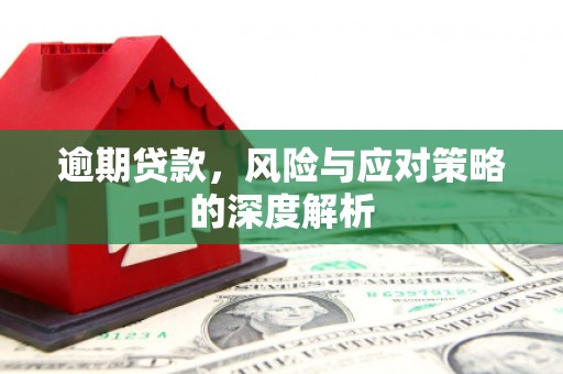 鹿草逾期贷款，风险与应对策略的深度解析