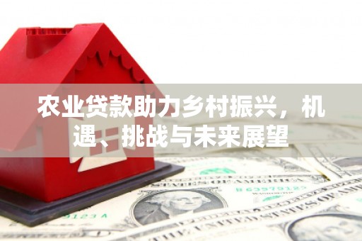 鹿草农业贷款助力乡村振兴，机遇、挑战与未来展望