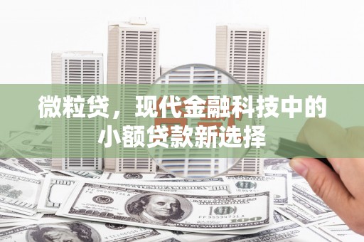 鹿草微粒贷，现代金融科技中的小额贷款新选择