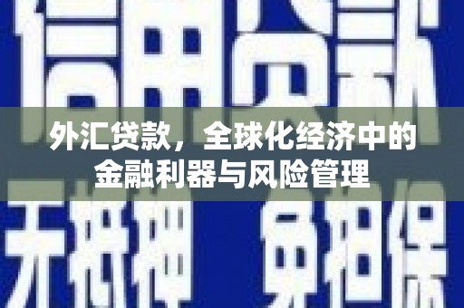 鹿草外汇贷款，全球化经济中的金融利器与风险管理