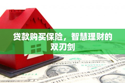 鹿草贷款购买保险，智慧理财的双刃剑