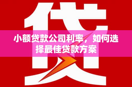 鹿草小额贷款公司利率，如何选择最佳贷款方案