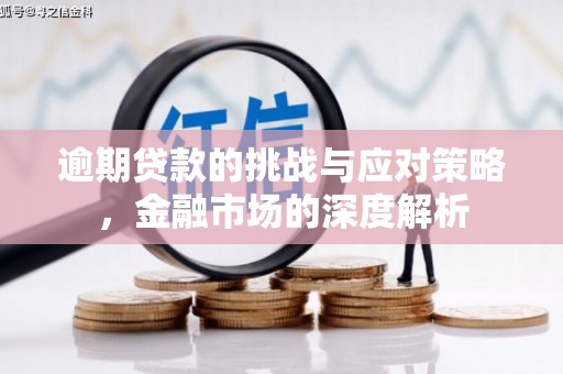 鹿草逾期贷款的挑战与应对策略，金融市场的深度解析