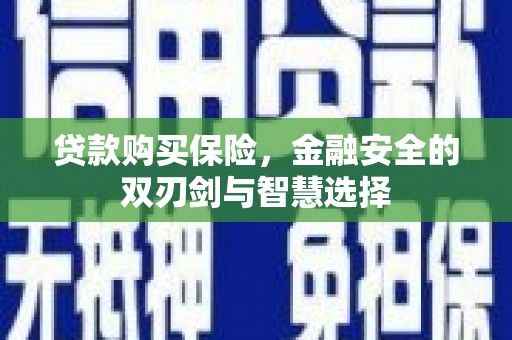 鹿草贷款购买保险，金融安全的双刃剑与智慧选择