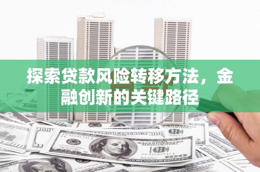 鹿草探索贷款风险转移方法，金融创新的关键路径