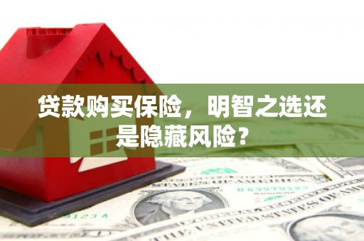 鹿草贷款购买保险，明智之选还是隐藏风险？