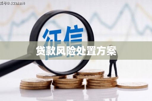 鹿草贷款风险处置方案