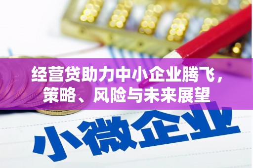 鹿草经营贷助力中小企业腾飞，策略、风险与未来展望