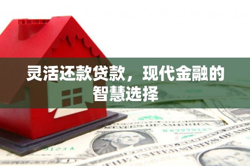 鹿草灵活还款贷款，现代金融的智慧选择
