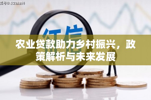 鹿草农业贷款助力乡村振兴，政策解析与未来发展
