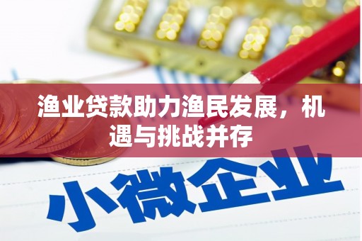 鹿草渔业贷款助力渔民发展，机遇与挑战并存
