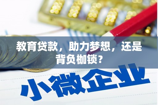 鹿草教育贷款，助力梦想，还是背负枷锁？