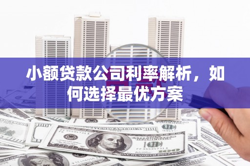 鹿草小额贷款公司利率解析，如何选择最优方案