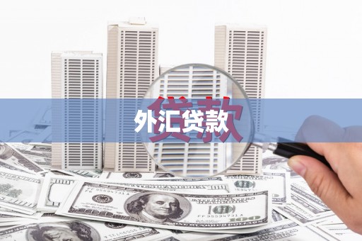 鹿草外汇贷款