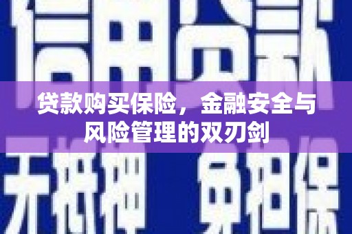鹿草贷款购买保险，金融安全与风险管理的双刃剑