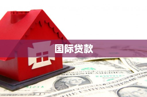 鹿草国际贷款