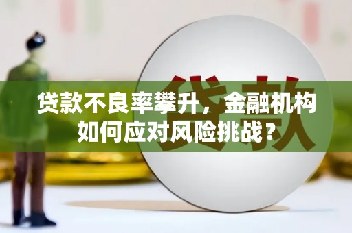 鹿草贷款不良率攀升，金融机构如何应对风险挑战？