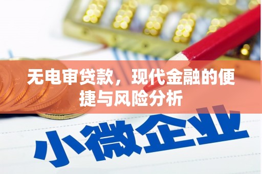 鹿草无电审贷款，现代金融的便捷与风险分析