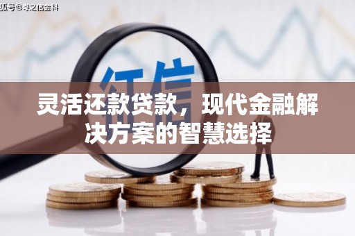 鹿草灵活还款贷款，现代金融解决方案的智慧选择