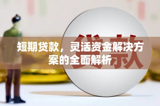 鹿草短期贷款，灵活资金解决方案的全面解析