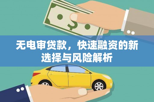 鹿草无电审贷款，快速融资的新选择与风险解析