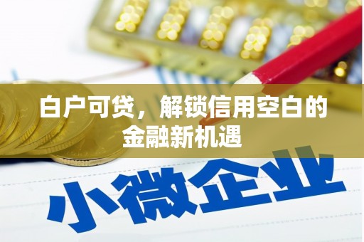 鹿草白户可贷，解锁信用空白的金融新机遇