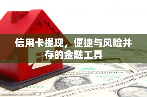鹿草信用卡提现，便捷与风险并存的金融工具