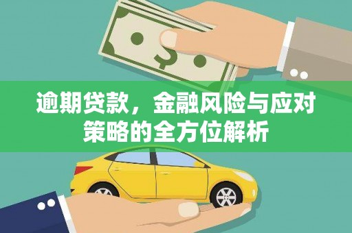 鹿草逾期贷款，金融风险与应对策略的全方位解析