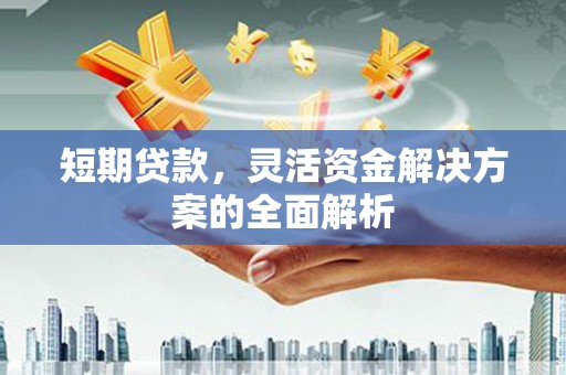 鹿草短期贷款，灵活资金解决方案的全面解析