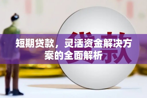 鹿草短期贷款，灵活资金解决方案的全面解析