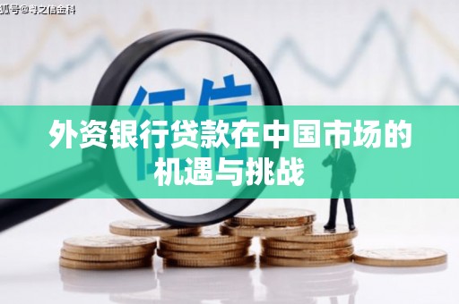 鹿草外资银行贷款在中国市场的机遇与挑战